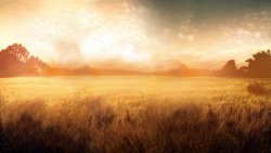 sun field edited.jpg sun field edited.jpg