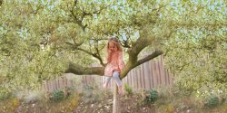 girl in tree edited downsized.jpg girl in tree edited downsized.jpg