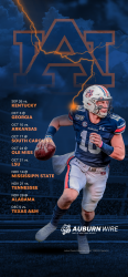auburn-wallpaper-copy.png