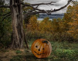 Jack_2021_7_small.jpg Jack_2021_7_small.jpg