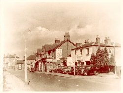 Oldie2-jpg.jpg Oldie2-jpg.jpg