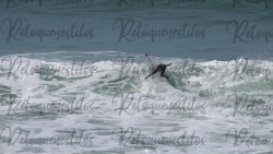 IMG_20211106_102758vf3 02.jpg