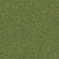 Grass Texture.jpg