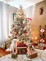 ECD41BA9-6E20-4436-91B9-9BB6B67E3A9D draft.jpg