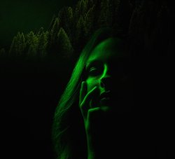 Trees-in.jpg Trees-in.jpg