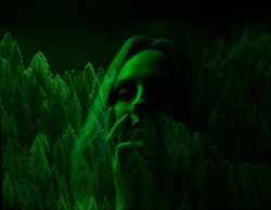 Woman in the Trees_3.jpg Woman in the Trees_3.jpg