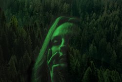 forest1chrisdesign.jpg forest1chrisdesign.jpg