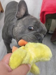 IMG_20211129_133716643 (1).jpg