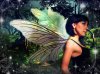 fairy3.jpg