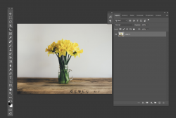 1641335824818.png 1641335824818.png