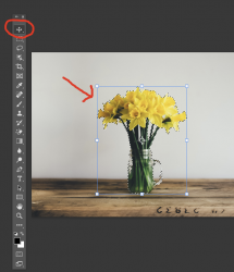 1641336122127.png 1641336122127.png