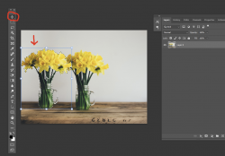 1641336477381.png 1641336477381.png