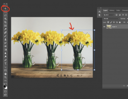 1641336567000.png 1641336567000.png