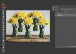 1641336669489.png 1641336669489.png