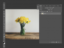 1641337321370.png 1641337321370.png