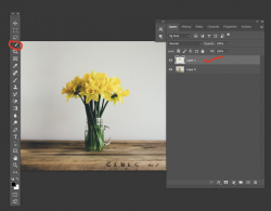 1641337509096.png 1641337509096.png