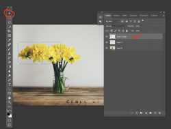 1641337674585.png 1641337674585.png