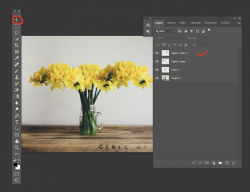 1641337806905.png 1641337806905.png