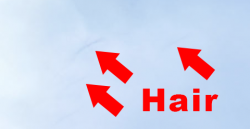 Screen Shot 2022-01-19 at 10.05.15 AM copy.png