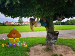 In-The-Tree-2.jpg In-The-Tree-2.jpg