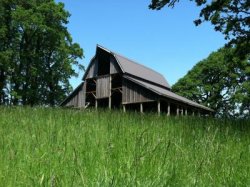 baldhillcorvallis.jpg baldhillcorvallis.jpg