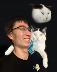 Stupid Cat Photo_5.jpg Stupid Cat Photo_5.jpg