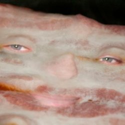 Bacon-Face.jpg