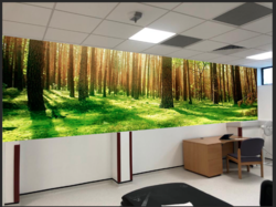 Screen Shot 2022-04-02 at 7.54.16 PM.png Screen Shot 2022-04-02 at 7.54.16 PM.png