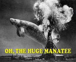 Manatee1.png Manatee1.png