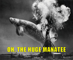 Manatee2.png Manatee2.png