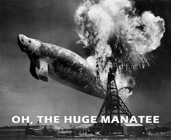 Hindenburg_disaster_6_B&W.jpg Hindenburg_disaster_6_B&W.jpg