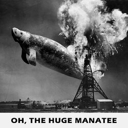 Hindenburg_disaster_6_B&W square.jpg Hindenburg_disaster_6_B&W square.jpg