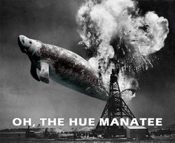 Hindenburg_disaster_6_Hue.jpg Hindenburg_disaster_6_Hue.jpg