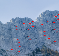 Screen Shot 2022-04-24 at 3.59.59 PM copy.png Screen Shot 2022-04-24 at 3.59.59 PM copy.png