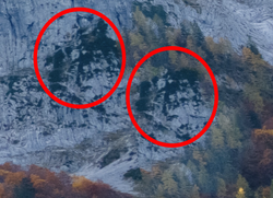 Screen Shot 2022-04-24 at 4.10.52 PM copy.png Screen Shot 2022-04-24 at 4.10.52 PM copy.png