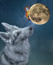 lone wolf.jpg lone wolf.jpg