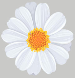 Screen Shot 2022-05-25 at 11.26.54 AM.png