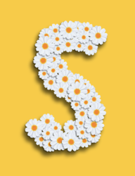 Screen Shot 2022-05-27 at 7.52.47 AM.png