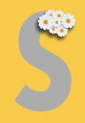 Screen Shot 2022-05-27 at 8.38.14 AM.png