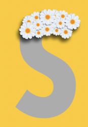 Screen Shot 2022-05-27 at 8.39.22 AM.png