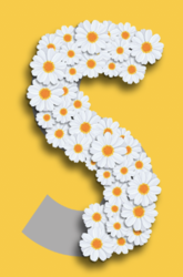 Screen Shot 2022-05-27 at 8.40.17 AM.png