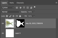 Screen Shot 2022-05-31 at 5.42.57 PM.png Screen Shot 2022-05-31 at 5.42.57 PM.png