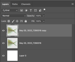 Screen Shot 2022-05-31 at 5.47.44 PM.png Screen Shot 2022-05-31 at 5.47.44 PM.png