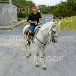 horseback riding.jpg
