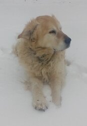 Cropped final pic.jpg