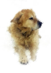 Zac Knife oil effect.jpg