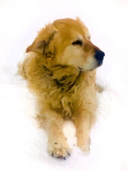 Cropped final pic-edit-abstract1.jpg