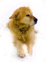 Cropped final pic-edit-abstract2.jpg