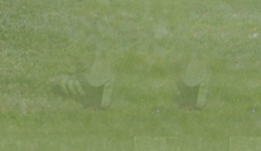 Screen Shot 2022-08-28 at 12.03.04 AM.png