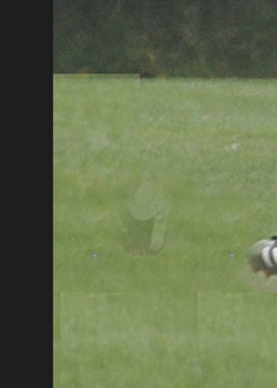 Screen Shot 2022-08-28 at 12.03.28 AM.png